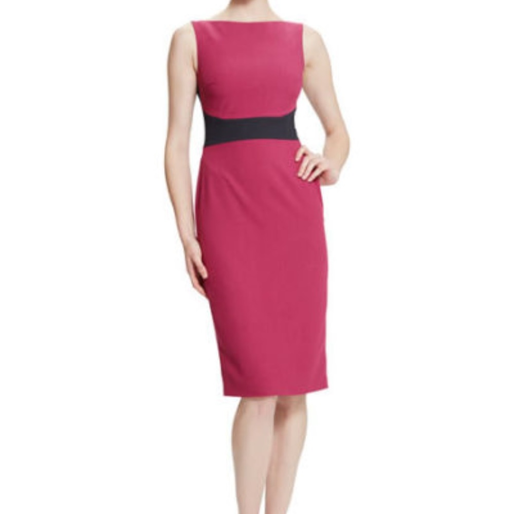 Raoul "Cara" Sleeveless Colorblock Dress SZ 8